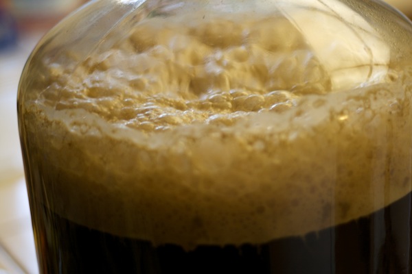 Top fermenting yeasts