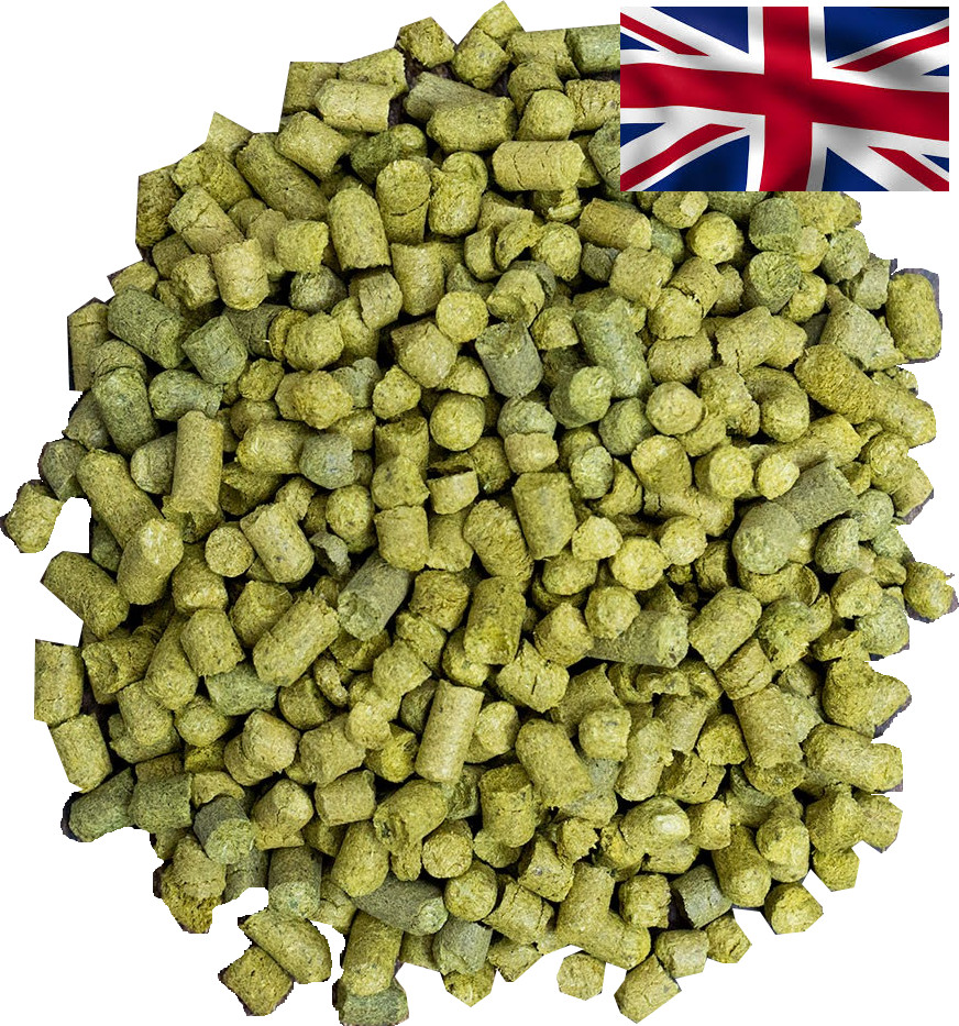 English varieties of hops