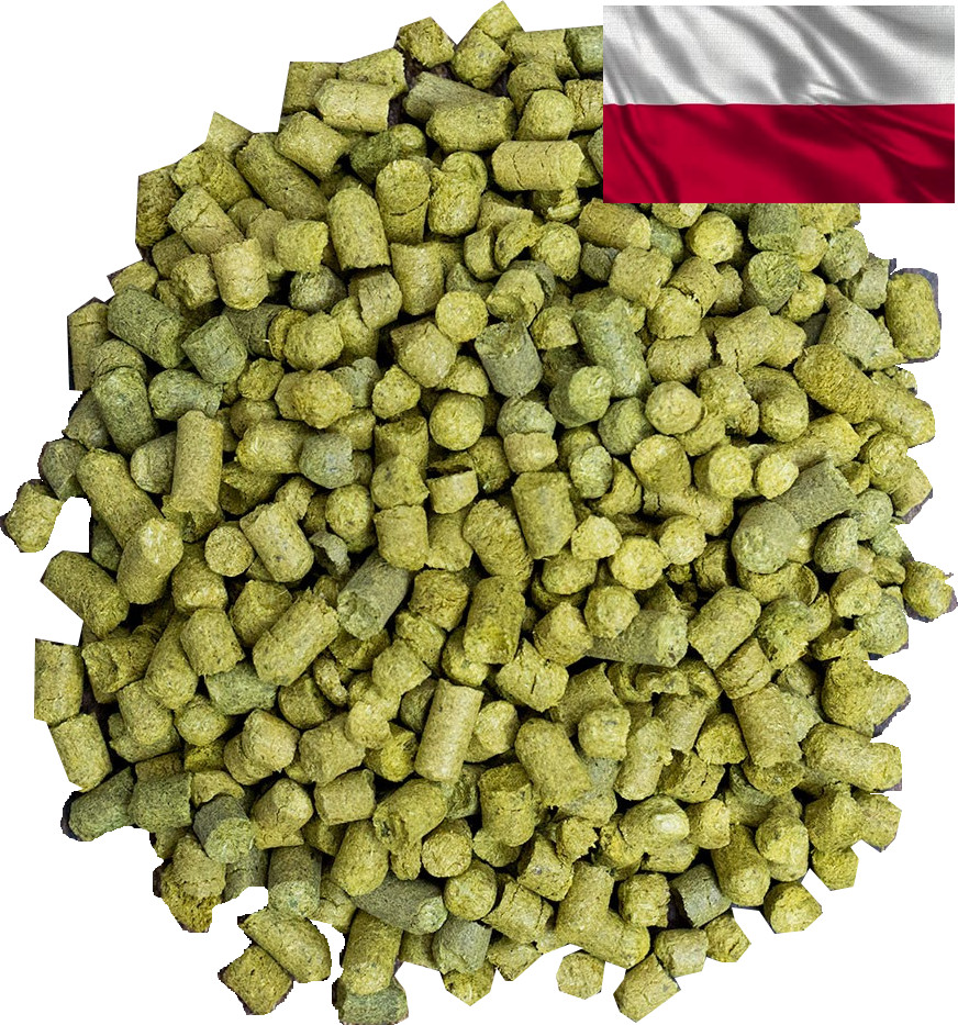 Hops from Poland