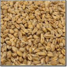 Wheat Malt pale - Weyermann Germany
